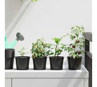 Mokuyary Vaso da fiori 100 pezzi, nero, Ø 15 x 12,5 cm, in plastica, per interni ed esterni, decorazione, balcone, giardino, terrazza