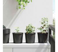 Mokuyary Vaso da fiori 50 pezzi, nero, Ø 15 x 13 cm, in plastica, per interni ed esterni, decorazione, balcone, giardino, terrazza