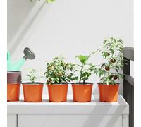 Mokuyary Vaso da fiori 50 pezzi Terracotta Ø 15 x 12,5 cm Plastica, Vaso per piante per interni ed esterni e decorazioni, balcone, giardino, terrazza