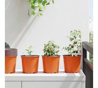 Mokuyary Vaso da fiori 50 pezzi Terracotta Ø 15 x 13 cm Plastica, Vaso per piante per interni ed esterni e decorazioni, balcone, giardino, terrazza