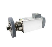 Mola a clip Motore mandrino Utensile di rettifica Testa di rettifica a 32 assi Motore di frequenza raffreddato ad aria(Type5)