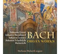 Molardi Stefano Org - Organ Works