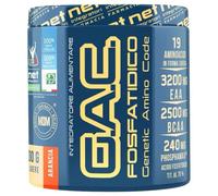 Moldes - Net G.A.C. Fosfatidico Gusto Arancia Integratore Post Allenamento Confezione 200 Gr