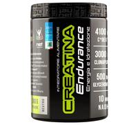 MOLDES Srl NET INTEGRATORI CREATINA ENDURANCE NEUTRO 360 G