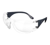 Moldex Adapt 1K 141001 141001-Occhiali protettivi Anti-Appannamento, con Protezione AntiGraffio DIN Nero, Multicolore
