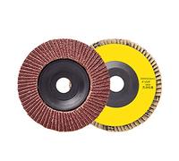 Mole abrasive, 50 pezzi di mole abrasive 60-320 grana dischi abrasivi in ossido alluminio, diametro esterno 100 mm, foro 16 mm/120(60Grit)