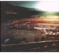 Molè What's the Meaning? (CD) Album