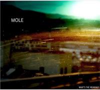 Molè What's the Meaning? (CD) Album