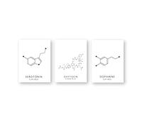 Molecola di serotonina Wall Art Canvas Poster Stampa Ossitocina e dopamina Pittura Struttura molecolare Immagine Chimica Scienza Decor Senza cornice-40x50cmx3