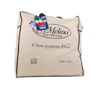 MOLINA 100% Piumino D' Oca Naturale P100 Singolo 155 X 200 Certificazione NOMITE E ASSOPIUMA., Bianco, CM. 155 X 200