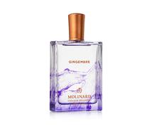 Gingembre 2ml