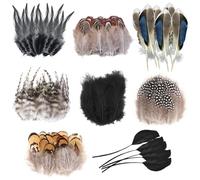 Molirex Piume per il fai da te, 160 pezzi, piume di fagiano, 8 stili, piume naturali per lavori di bricolage, orecchini fai da te, maschere, gioielli, uova di Pasqua, piume di faraona (nero/marrone)