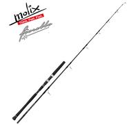 MOLIX Fioretto Saltwater Offshore Spinning Rod Speciale POPPING 170