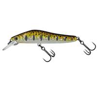 Molix Jubar Smart 70 FS 7cm 10g 2.3/4in 3/8oz Sinking Esche Trota COLORI