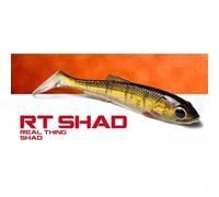 MOLIX REAL THING SHAD 3.5" - CONFEZIONE: 5 pezzi, MISURA: 3.5", COLORE: 164
