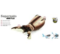 MOLIX SUPERNATO BEETLE 7,5cm