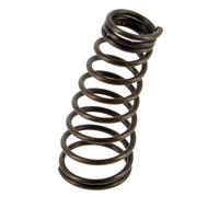 Molla a bobina 5131028891 - taglio bordi ryobi