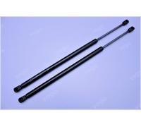 Molla a Gas Ammortizzatore Bagagliaio BMW X5 E70 51247177283 2x Originale Vego