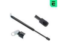 Molla a Gas Ammortizzatore per BMW 5er E39 523i Alpina B10 4.6 V8 D10 3.0 D