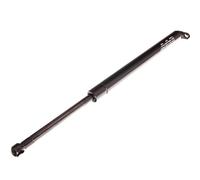Molla a Gas Ammortizzatore per BMW 5er E39 523i Alpina B10 4.6 V8 D10 3.0 Doppie