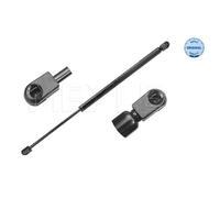 Molla a Gas Ammortizzatore per Renault Scénic II JM0/1_ 1.6 16V Grand