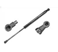 Molla a gas bagagliaio 16-14 910 0036 MEYLE per RENAULT TWINGO II
