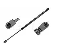 Meyle 30-40 910 0032 Molla a Gas Valigia Bagagliaio per Toyota Corolla Verso