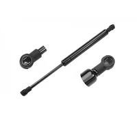 Meyle Molla a gas bagagliaio 540 910 0006 per Volvo S40 II