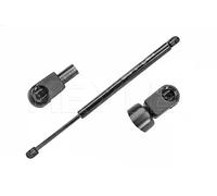 MEYLE Molla a gas portellone 740 910 0024 per Ford Focus I