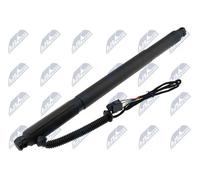 NTY AE-BM-076 Ammortizzatore pneumatico, Ripiano (Cofano bag. / Vano carico)