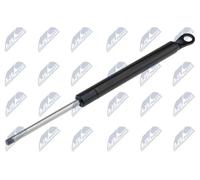 Cilindro Portellone Cofano Occhiali Posteriore per Citroen C5 2001-2008 8731.F7