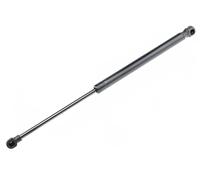 NTY Molla a gas bagagliaio AE-DW-013 per Chevrolet Daewoo