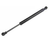 Molla a gas bagagliaio AE-FR-021 NTY per FORD FOCUS I Tre volumi