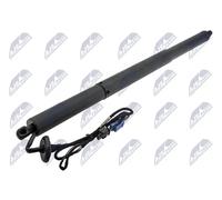 NTY Ammortizatore pneumatico, Cofano bagagli /