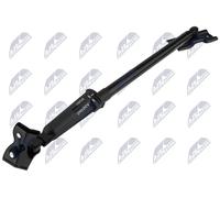 Molla a gas bagagliaio AE-MS-015 NTY