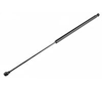 NTY Cilindro portellone posteriore WD_8731N6 per Peugeot 207 CC