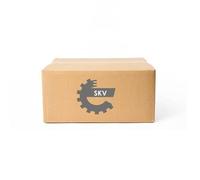 Molla a gas bagagliaio bilaterale 52SKV581 ESEN SKV per AUDI A3 Sportback
