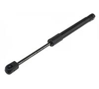 NTY Gasfeder Del Bagagliaio Doppio Compatibile Per Seat Toledo II 1M2 1.6 16V