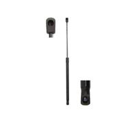 Molla a gas bagagliaio bilaterale MGS2018 Magnum Technology per CITROËN C4 Coupé