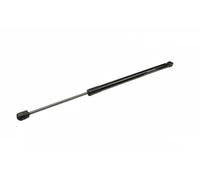 FAST FT00207 Ammortizatore pneumatico, Cofano bagagli / vano carico