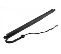 Molla a gas bagagliaio posteriore Dx AE-BM-071 NTY per BMW X5