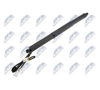 Molla a gas bagagliaio posteriore Dx AE-BM-099 NTY per BMW X5