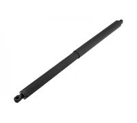 NTY Molla a gas bagagliaio posteriore AE-CH-059 Dx per GMC