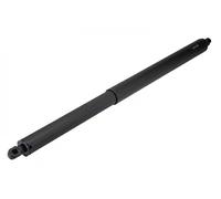 NTY Ammortizzatore pneumatico AE-CH-065 cofano bagagli/vano carico per Tesla Model Y posteriore Dx