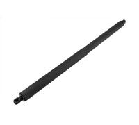 NTY Ammortizatore pneumatico, Cofano bagagli /vano carico compatibile con FORD