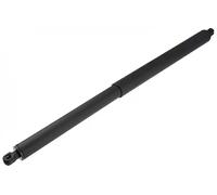Molla a gas bagagliaio posteriore Dx AE-VW-140 NTY