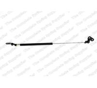 RIDEX 219G0431 Ammortizatore pneumatico Cofano bagagli / vano carico 585mm