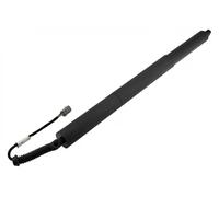 NTY Ammortizzatore pneumatico portellone AE-FR-071 per Ford Edge 2015-2018 Sinistra (FT4Z14B351A)