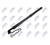 Molla a gas bagagliaio posteriore Sx AE-HD-026 NTY