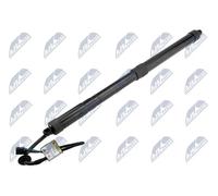 Molla a gas bagagliaio posteriore Sx AE-HY-046 NTY per HYUNDAI SANTA FÉ III